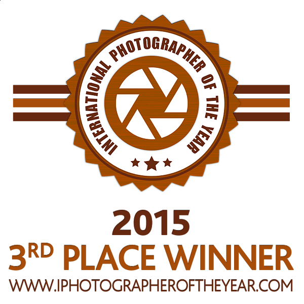 ipoty-2015-3RD-place-winner.png